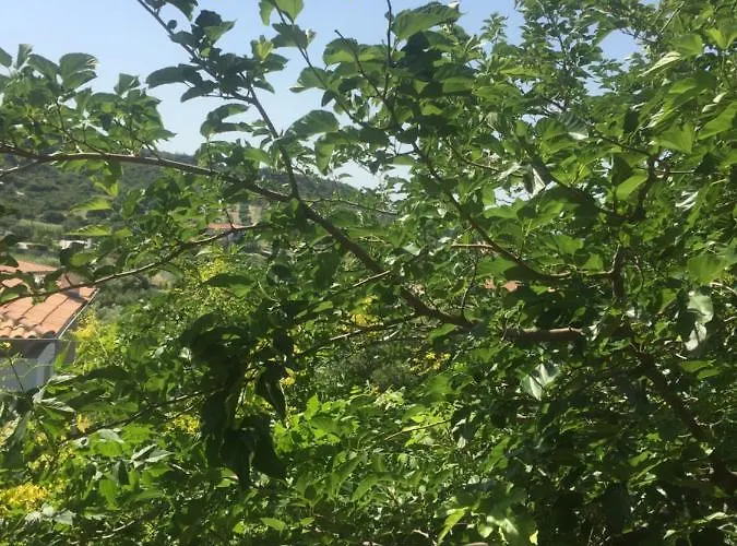 Villa Mare Apartman Pefkohóri
